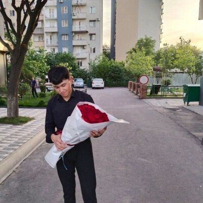  ,   Samandar, 24 ,   ,   