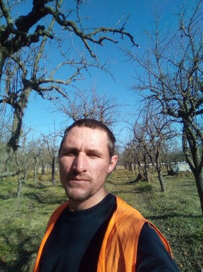   ,   , 40 ,   c , 
