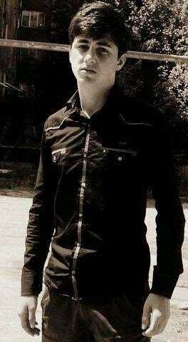  ,   APS, 29 ,   