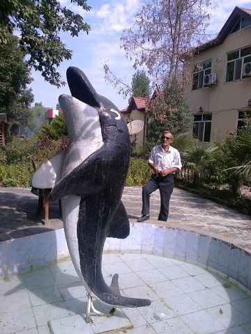  ,   Hikmet, 66 ,   ,   , c 