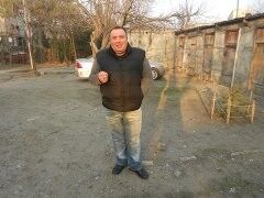  ,   Amiikoo, 44 ,   