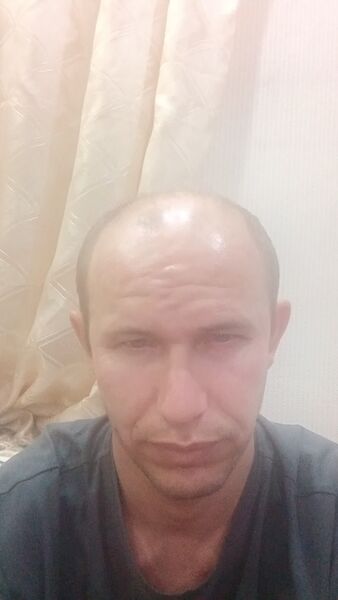  -,   , 39 ,   ,   