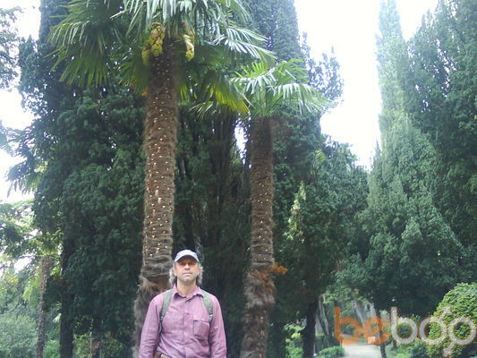  ,   , 56 ,  
