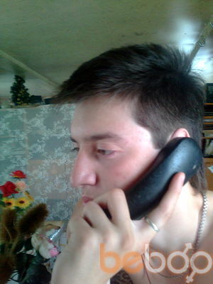  3153587  , 31 ,    