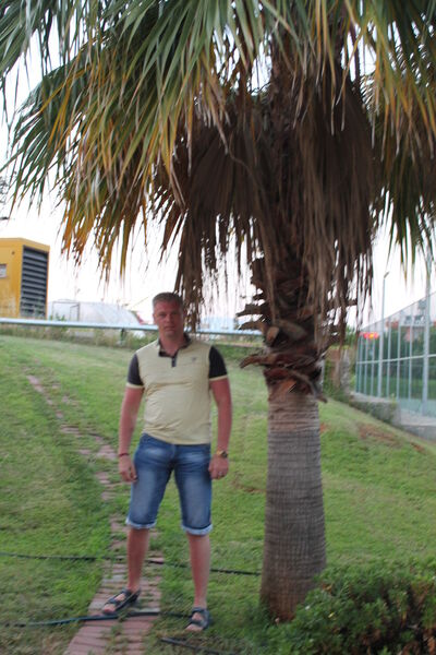  ,   , 48 ,   