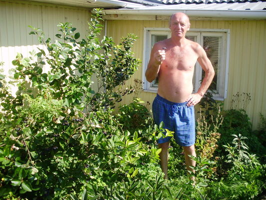  ,   , 68 ,   
