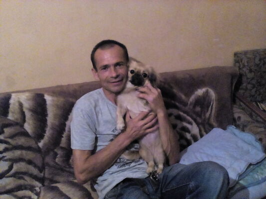  -,   Volchonok, 56 ,   ,   , c 
