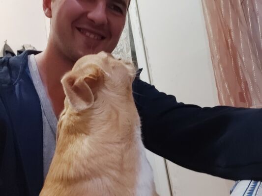  ,   , 40 ,   