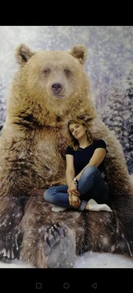  ,   , 51 ,     , c , 