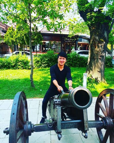  ,   Panda, 31 ,   ,   