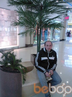  3075187  , 41 ,    -