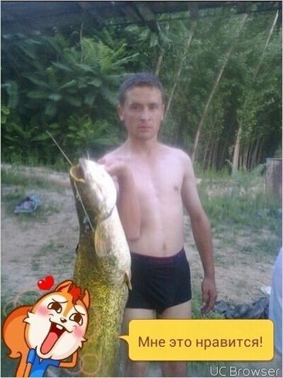  ,   DADAXON, 33 ,   ,   , c 