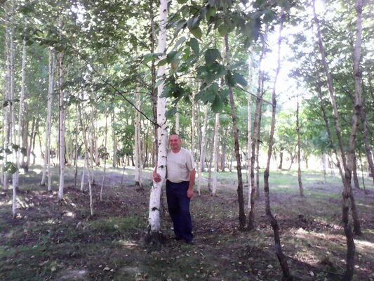 ,   Serg, 53 ,   ,   , c , 