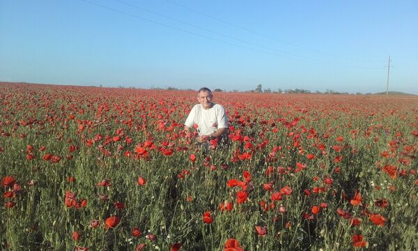  ,   , 61 ,   ,   , c , 