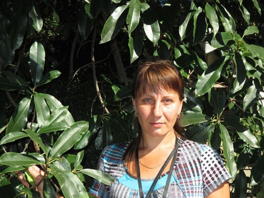  ,   , 48 ,  