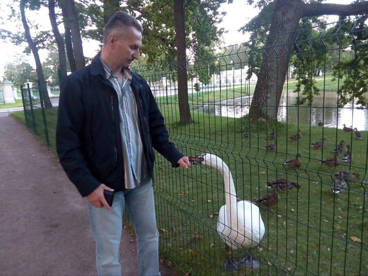 -,   , 55 ,   ,   , c 