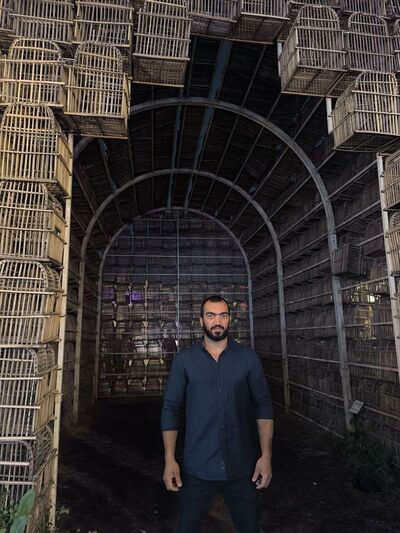  Boyalik,   Amer nejim, 34 ,   ,   