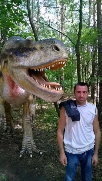  ,   , 47 ,  