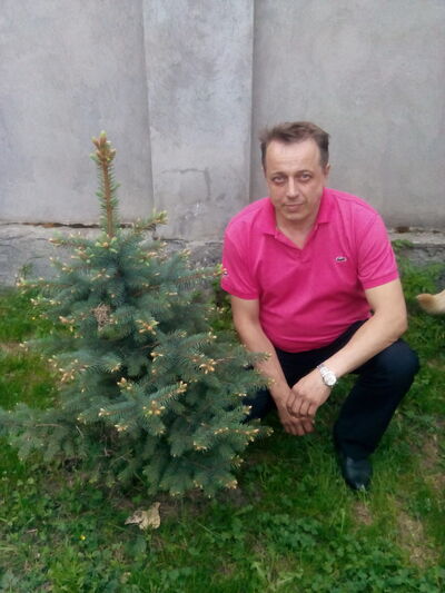  ,   Vit, 80 ,  