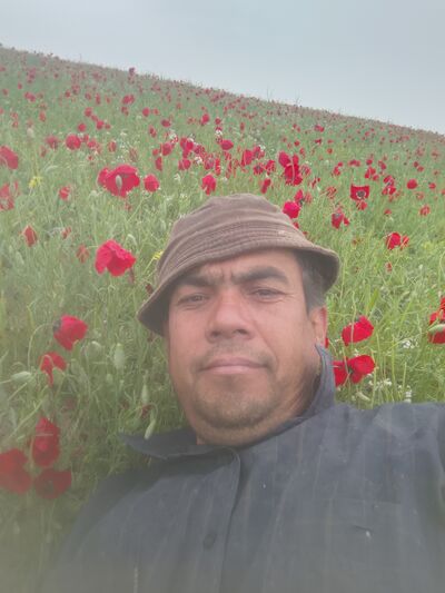  ,    , 42 ,   ,   