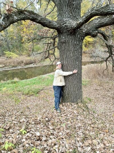  ,   , 63 ,   ,   , c 