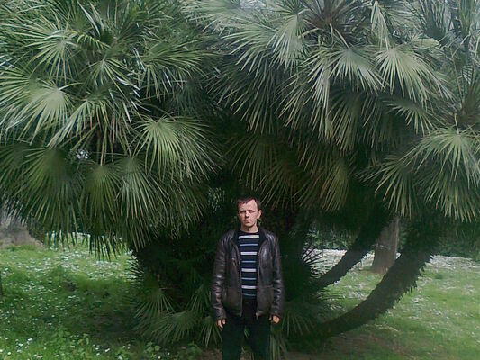  ,   , 46 ,   ,   , c 