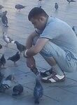  ,   , 36 ,   