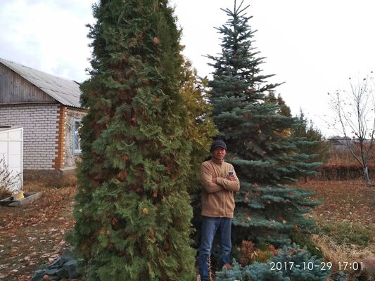  ,   , 55 ,   