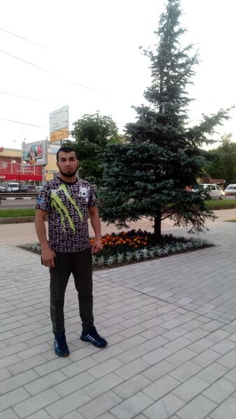  ,   BEK, 33 ,     , c 