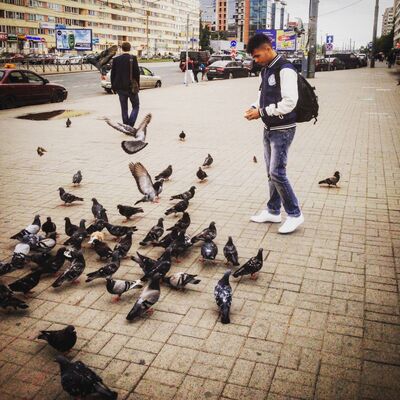  -,   , 29 ,   ,   , c 