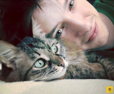 ���������� �����-���������, ���� ������� ���, 40 ���, ������������ ��� ����� � ���������, c�������� ���������, ���������