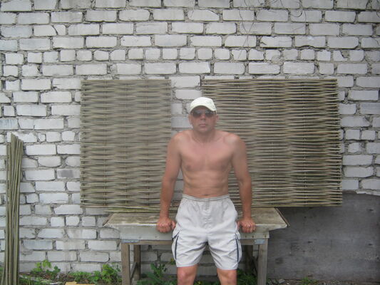  ,    , 51 ,  