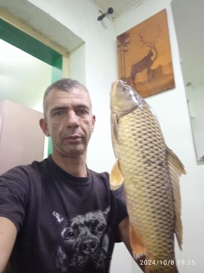  ,   , 41 ,   c 