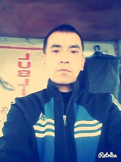   ,   , 43 ,   