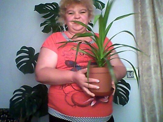  ,   , 50 ,     , c 
