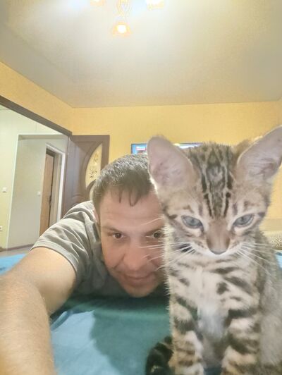  ,   , 42 ,     