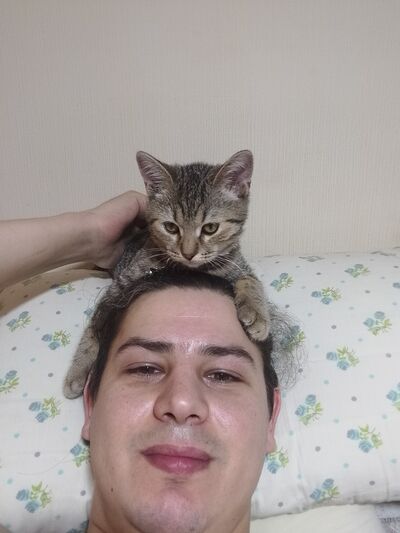  ,   , 33 ,   ,   , c , 