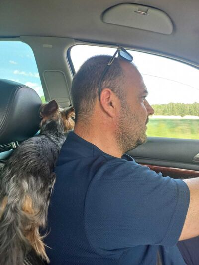  Grodzisk Wielkopolski,   , 44 ,   ,   