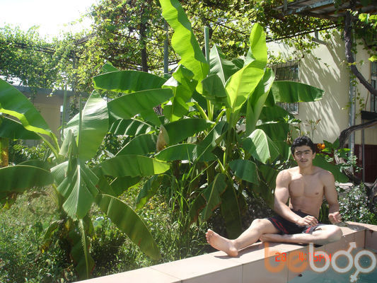  ,   Daler, 33 ,     , c 