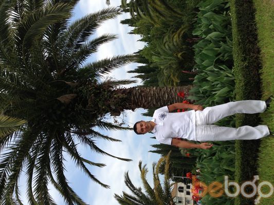 ���������� �����, ���� ������� ������, 48 ���, ������������ ��� ������