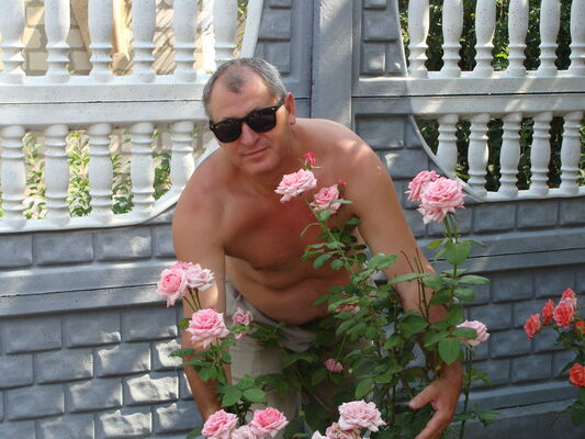  ,   , 56 ,   ,   