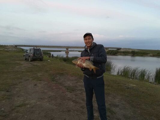  ,   Daulet, 40 ,   ,   , c 