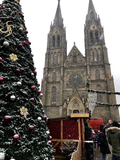  Praha,   Yury, 53 ,   ,   , c 