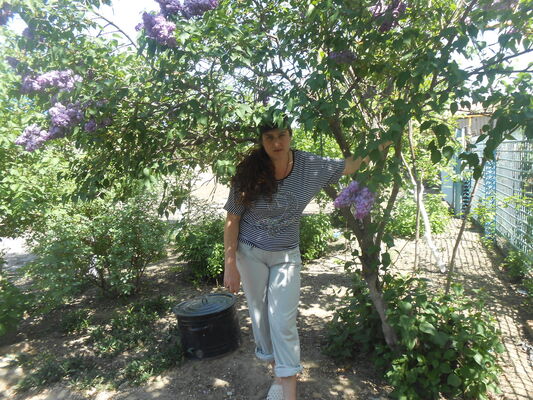 ,   , 46 ,   ,   , c 