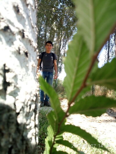  ,   , 33 ,   