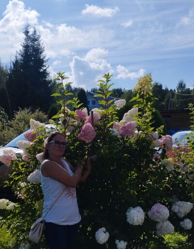  ,   , 41 ,   c 