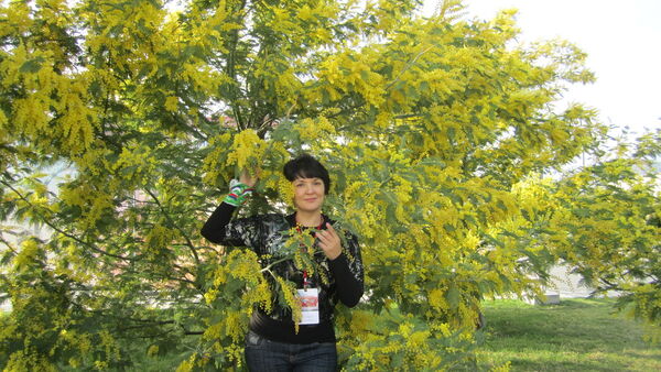  ,   , 55 ,   ,   , c 