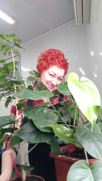  ,   , 61 ,   ,   , c 