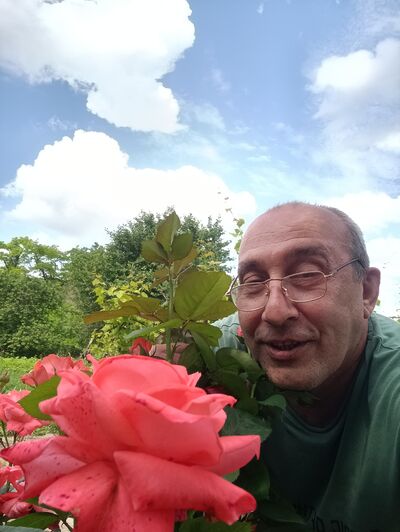  ,   , 53 ,   ,   
