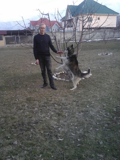  ,   , 58 ,   ,   